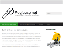 Tablet Screenshot of meuleuse.net